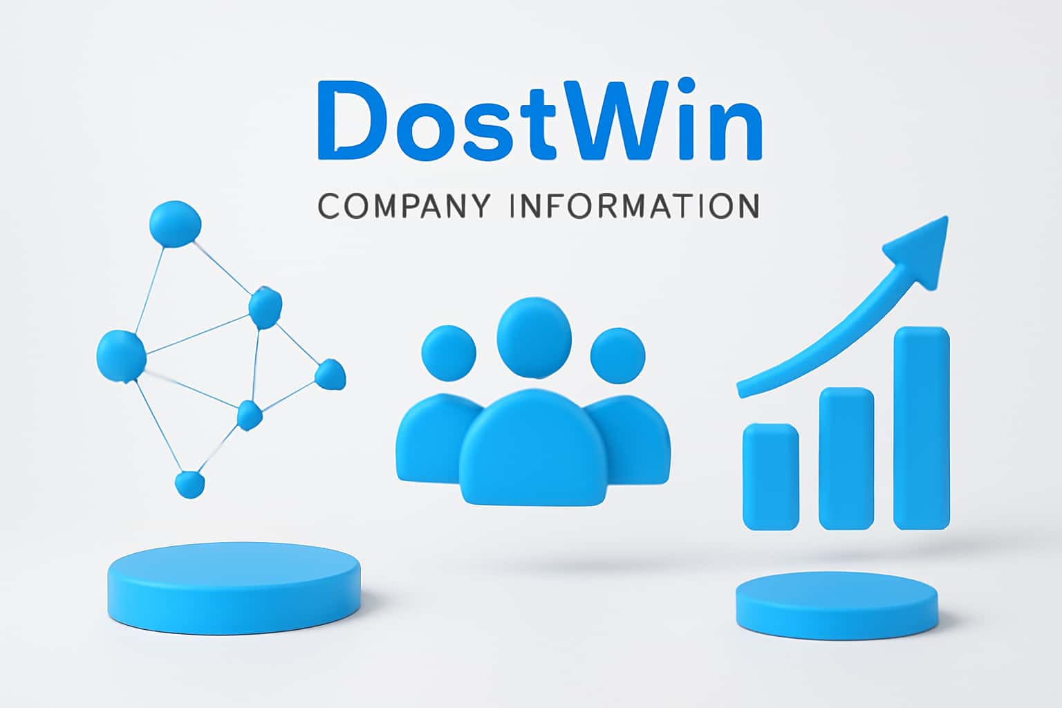 DostWin Company Information Interface